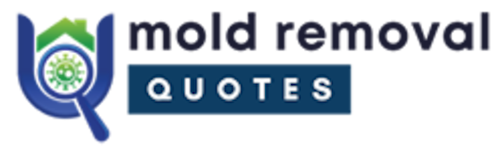 mold removal katy tx
